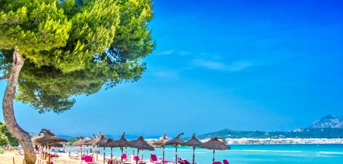 На фото: АУТЕНТИЧНАЯ МАЙОРКА , 118 АУТЕНТИЧНАЯ МАЙОРКА , 118