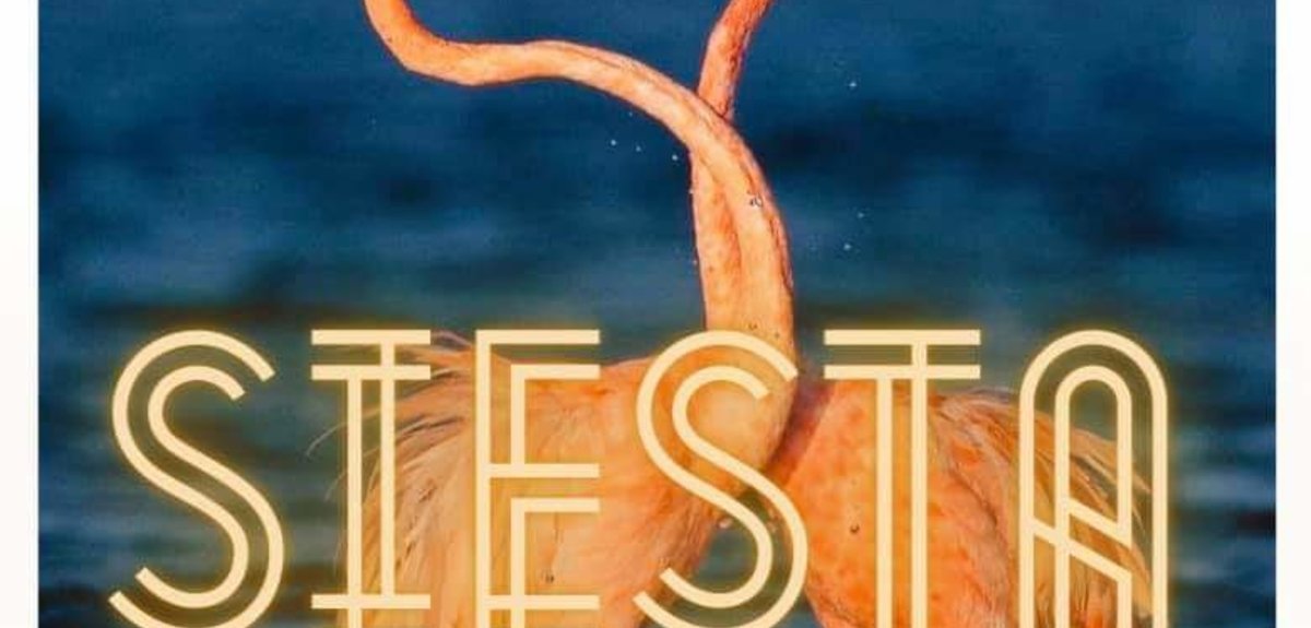 На фото: МЕКСИКА НА ДЕНЬ МЕРТВЫХ, 118 МЕКСИКА НА ДЕНЬ МЕРТВЫХ, 118