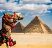 На фото: , 37 , 37