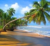 На фото: , 23 , 23