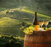 На фото: , 35 , 35