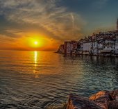 На фото: , 31 , 31