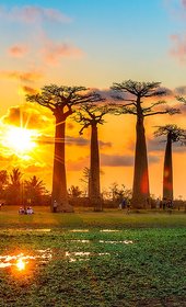 Маврикий + Мадагаскар