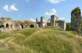Тури, 28