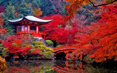 Рекламные туры, 2