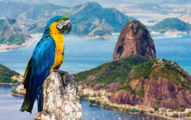 Рекламні тури, 2