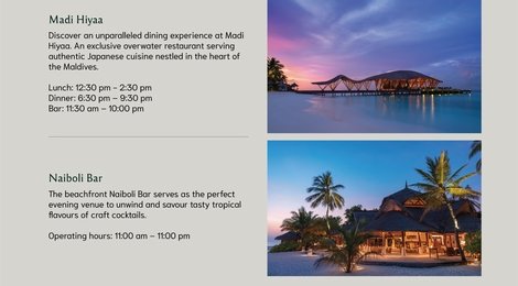 На фото: Banyan Tree Vabbinfaru Dine Around Brochure, 122 Banyan Tree Vabbinfaru Dine Around Brochure, 122