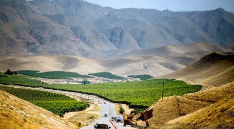 На фото: Палм Спрингс Тур-195 USD, 118 Палм Спрингс Тур-195 USD, 118