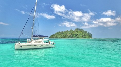 На фото: Морская звезда ODEZIR, 118 Морская звезда ODEZIR, 118