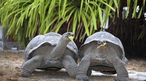 Обзорная экскурсия Дикий юг Обзорная экскурсия Дикий юг, 118