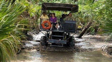 На фото: Сафари Билли Свамп — Майами- 215 USD, 118 Сафари Билли Свамп — Майами- 215 USD, 118