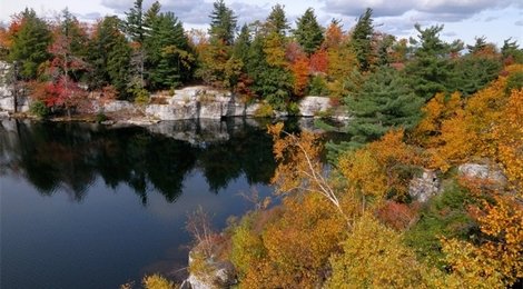 На фото: Сокровища долины Гудзона- 160 USD, 118 Сокровища долины Гудзона- 160 USD, 118