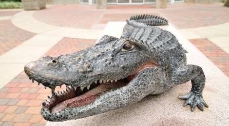 На фото: Ферма Аллигаторов Эверглэйдс — Майами-180 US, 118 Ферма Аллигаторов Эверглэйдс — Майами-180 US, 118