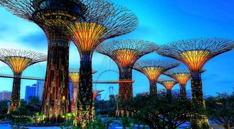 На фото: Сады у залива Gardens by the Bay, 118 Сады у залива Gardens by the Bay, 118