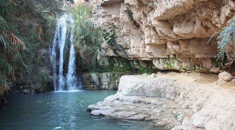На фото: Заповедник Эйн Геди и Мертвое море- 85 USD, 118 Заповедник Эйн Геди и Мертвое море- 85 USD, 118