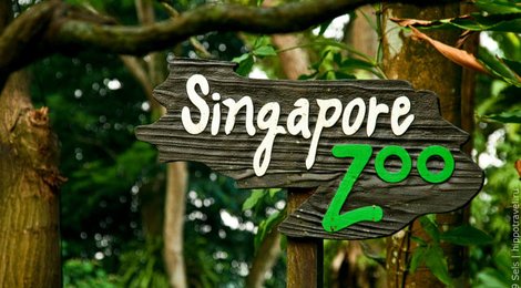 Сингапурский зоопарк, 112