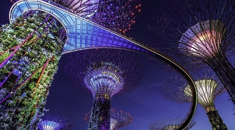 На фото: Ботанический сад , 118 Ботанический сад , 118