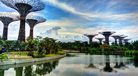 На фото: Ботанический сад , 119 Ботанический сад , 119