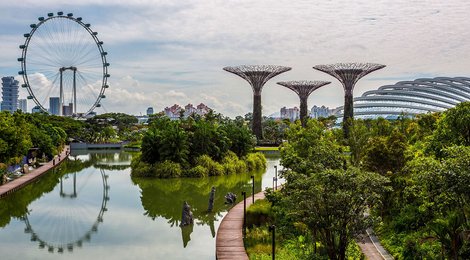 На фото: Ботанический сад , 120 Ботанический сад , 120