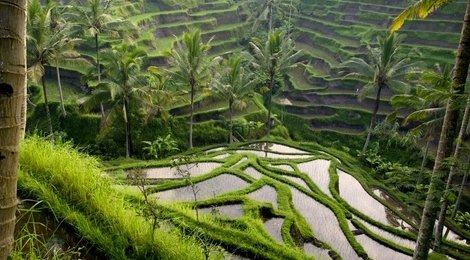 На фото: Бали-Барат, 118 Бали-Барат, 118