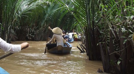 На фото: Дельта Меконга, 118 Дельта Меконга, 118