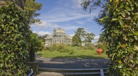 На фото: Дублинский ботанический сад, 118 Дублинский ботанический сад, 118