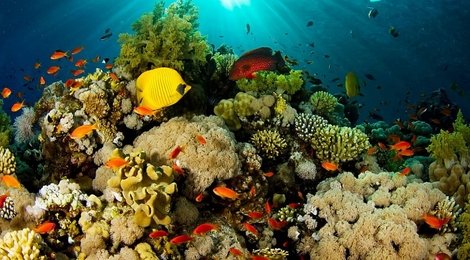 На фото: Океанариум , 120 Океанариум , 120