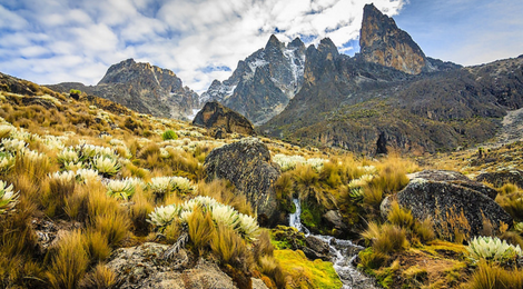 На фото: Гора Кения, 118 Гора Кения, 118