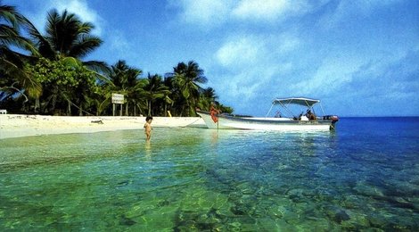 На фото: Национальный парк Моррокой, 118 Национальный парк Моррокой, 118