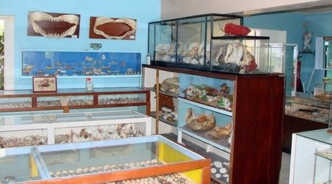 На фото: Музей океанских раковин Индженю Маграса, 118 Музей океанских раковин Индженю Маграса, 118