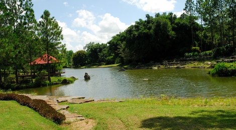 На фото: Национальный ботанический сад, 118 Национальный ботанический сад, 118