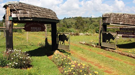 На фото: Абердаре, 118 Абердаре, 118