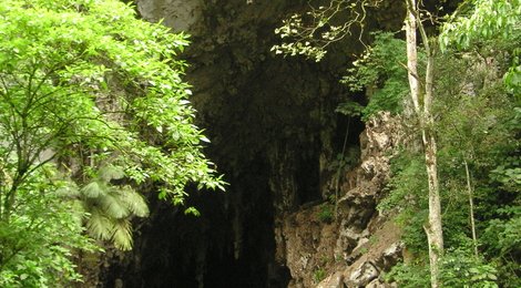 На фото: Национальный парк Эль-Гуачаро, 118 Национальный парк Эль-Гуачаро, 118