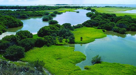 На фото: Национальный парк Ибера, 118 Национальный парк Ибера, 118