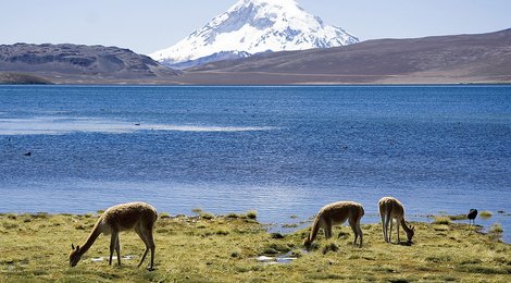 На фото: Национальный парк Лаука, 118 Национальный парк Лаука, 118