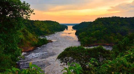 На фото: Мерчисон, 118 Мерчисон, 118