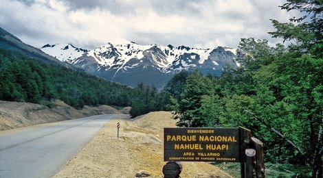 На фото: Национальный парк Науэль-Уапи, 118 Национальный парк Науэль-Уапи, 118