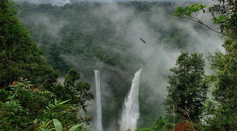 На фото: Национальный парк Вирачей, 118 Национальный парк Вирачей, 118