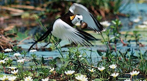 На фото: Национальный заповедник Кумана, 118 Национальный заповедник Кумана, 118