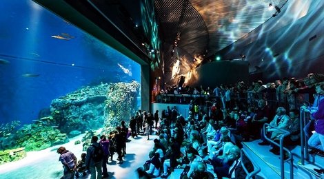 На фото: Океанариум , 121 Океанариум , 121
