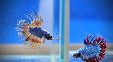 На фото: Океанариум , 123 Океанариум , 123