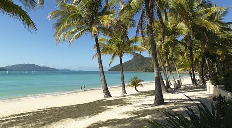 На фото: Острова Уитсандей, 118 Острова Уитсандей, 118