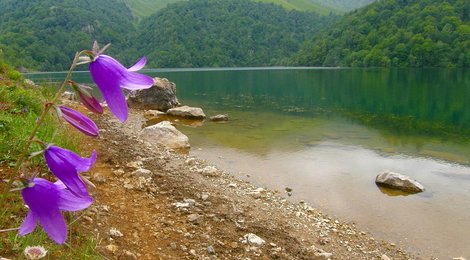 На фото: Озеро Гёйгёль, 118 Озеро Гёйгёль, 118