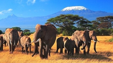 На фото: Парк Лимпопо, 118 Парк Лимпопо, 118