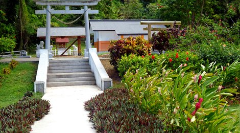 На фото: Парк сахарного короля, 118 Парк сахарного короля, 118