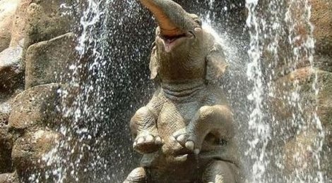 На фото: Пражский зоопарк, 118 Пражский зоопарк, 118