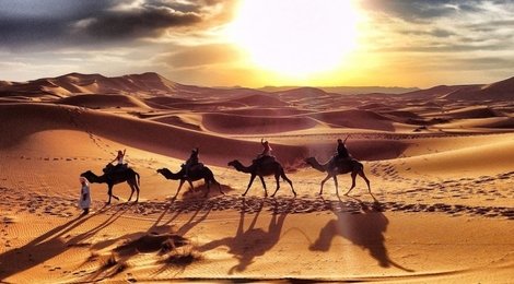 На фото: Пустыня Сахара, 118 Пустыня Сахара, 118