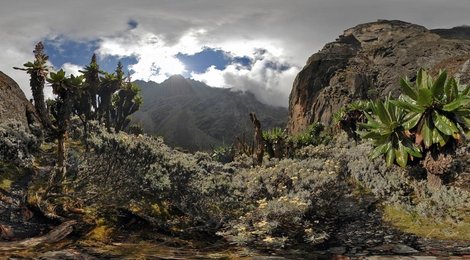 На фото: Рувензори, 118 Рувензори, 118