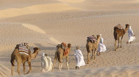 Пустыня Сахара в Тунисе, 112