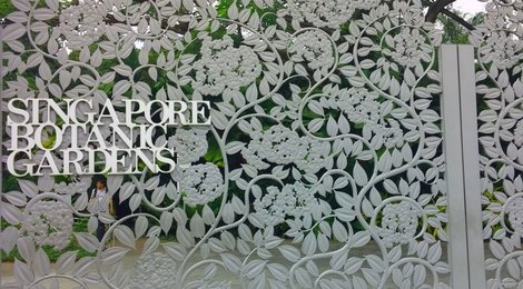 На фото: Ботанический сад , 121 Ботанический сад , 121